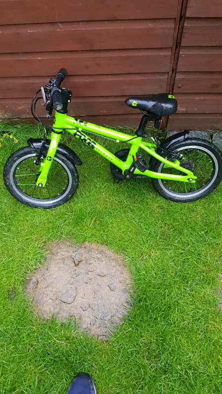 carrera bike touch up paint